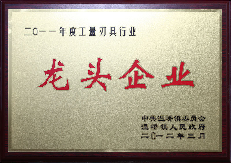 2011年温岭市工量刃具行业龙头企业证书